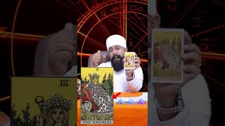 The Empress Tarot Card  How to Read Tarot Cards  shorts [upl. by Pammi]