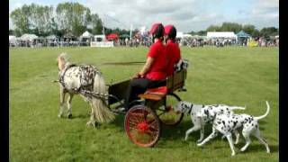 Carriage Dogs [upl. by Fanestil]