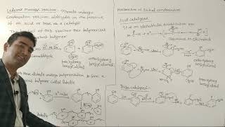 L12 BSc 2nd year Phenols Lederer Mannasse Reaction [upl. by Ecilegna]