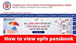 epf passbook video  how to view epfo passbook epfopassbook [upl. by Arivle903]