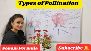 Types of Pollination  Agents of Pollination  Pollination in Hindi  Plant Breeding  Biology [upl. by Fruma]