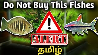 🔴 Do Not Buy This Fishes 🚫 🐬 Tamil [upl. by Lemak666]