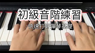 【快速学会弹钢琴】初级一度音阶练习快速打好弹琴基础调号，半音，大调音阶，升号，降号，8度 [upl. by Berners]