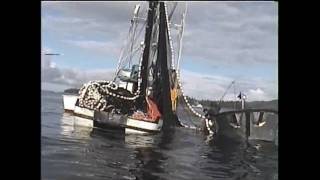 Southeast Alaska Salmon fishing [upl. by Barfuss886]