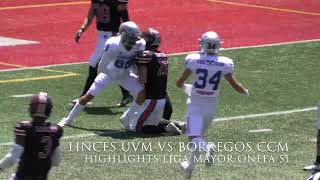 HIGHLIGHTS LINCES UVM VS BORREGOS CCM LIGA MAYOR [upl. by Anaiq]