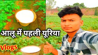 आलू में पहली यूरिया 🥔ll UPVISHALVLOGS87 [upl. by Idette]