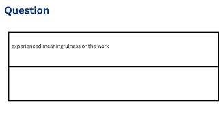 experienced meaningfulness of the work [upl. by Barcellona956]