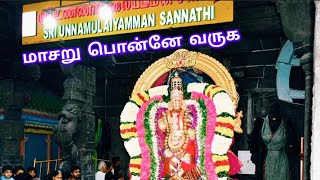 மாசறுபொன்னேவருக godisbliss devotionalyoutubevideo masaruponneunnamulaiyamman annamalaiyar [upl. by Ellicott]