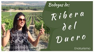 Ribera del Duero  Visita de Enoturismo Abadía Retuerta  Protos  Tinto Pesquera [upl. by Thomasa980]