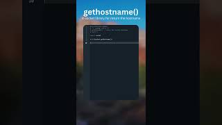 python socket  gethostname [upl. by Cunningham]