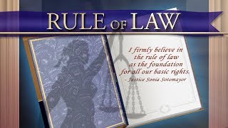 Court Shorts Rule of Law [upl. by Poore358]