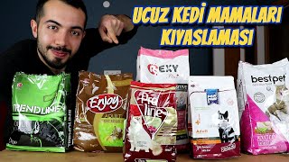 UCUZ KEDİ MAMALARI KIYASLAMASI Trendline Proline PawPaw Enjoy Bestpet Rexy [upl. by Ynaffets]