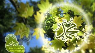 114 Surah AlNaas Full with Malayalam Translation [upl. by Minni]