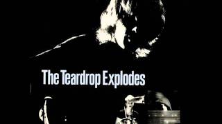 The Teardrop Explodes  Reward [upl. by Ackler491]