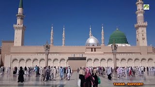 Saudi Arabia Travel Masjid Nabawi Walk in amp Out [upl. by Alleb]