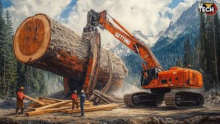 Extreme Dangerous Fastest Big Chainsaw Cutting Tree Machines  Monster Stump Removal Excavator 55 [upl. by Helbonnas]