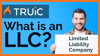 What is an LLC   Limited Liability Company [upl. by Chatwin397]