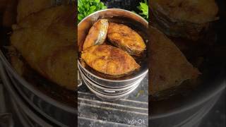 Todays lunch box  vanjaram fishfry fish kulambu dragon fruit ytshorts viralvideo trending [upl. by Lorne]