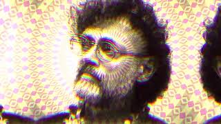 Terence McKenna  Reclaiming Control from Cultural Programming [upl. by Ingeborg]