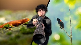 3 Days of Relaxing Spring Wildlife Photography amp Herping  POV [upl. by Husha636]