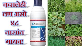 सिंजेंटा ग्रामोक्झोन तणनाशकSyngenta Gramoxone Herbicideपॅराक्वॅट डायक्लोराईडParaquat Dichloride [upl. by Gnoz532]