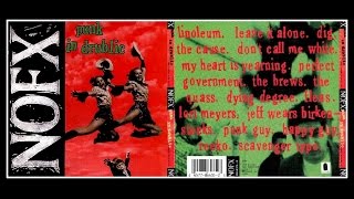 NOFX  Punk in Drublic  FULL ALBUM [upl. by Smoht]