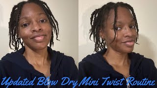 Updated Blow Dry Mini Twist Routine [upl. by Marquet]