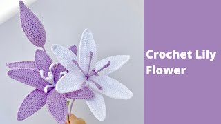 How to Crochet Lily Flower 💐 Easy Crochet for Beginners to Crochet Flower Bouquet 🧶 [upl. by Aelc]