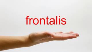 How to Pronounce frontalis  American English [upl. by Athiste]