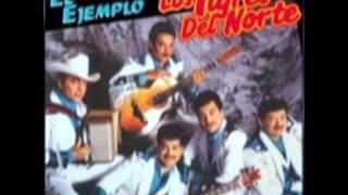 Golpes en el CorazonLos Tigres del Norte Album El Ejemplo Año 1995 [upl. by Ardnatal]