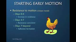 Nuances of Flexor Tendon Rehab Part 3 of 12 Early Motion [upl. by Malkah]