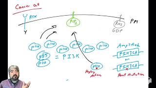 PI3KAkt pathway  part 4 PI3K in cancer [upl. by Nanaj848]