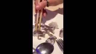 Eating Live Octopus In Los Angeles [upl. by Sib]