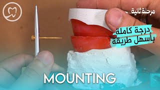 Articulator Mounting  خطوة بخطوة  طب الاسنان مرحلة ثانية [upl. by Hillie264]