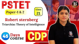 Triarchiac Theory of Intelligence Lec21 Robert sternberg CDP PSTET Paper1 amp 2 45 Days Course [upl. by Eltsyek]