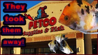 Petco took ALL my FISH Hope you guys understand [upl. by Dorette]