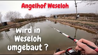 Forellenangeln mit Pose Powerbait Gummiköder Spoon Angelhof Weseloh Trout Ultralight Angeln Umbau [upl. by Eceirahs]