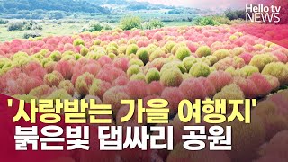 사랑받는 가을 여행지 붉은빛 댑싸리 공원  헬로tv뉴스 [upl. by Nador]