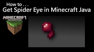 How To Get Spider Eye in Minecraft Java [upl. by Reis238]