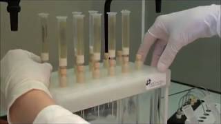 Solid Phase Extraction process  AFFINISEP [upl. by Lemkul827]