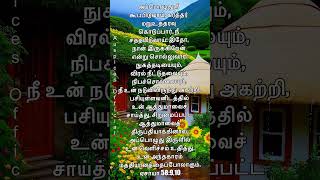 Todays Bible verse Todays Promise verse 28th OCT 2024 இன்றைய வேத வசனம் sisEsther Nirmal Kumar [upl. by Adnilim]