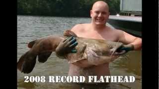 Catfish Noodling World Record [upl. by Aihtenyc]