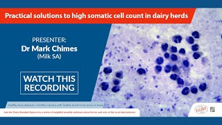 Webinar DSA  Practical solutions to high somatic cell count in dairy herds [upl. by Clarissa398]