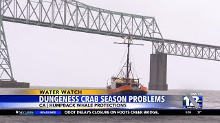 Californias commercial Dungeness crab season will end April 8 to protect whales [upl. by Limhaj]