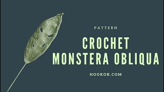 Crochet Monstera Obliqua [upl. by Litton]