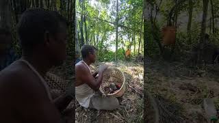 Sha briPrimitive lifeprimitive survival shortvideo rural forest jungle shortvideo [upl. by Eimor174]