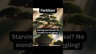 Bonsai Fertilizer Tip bonsai garden gardening how howto plants relaxing [upl. by Nelan]