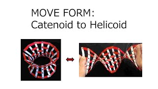 MOVE FORM Catenoid to Helicoid [upl. by Einrae573]