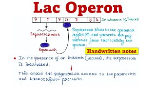 Lac Operon  Principle and Mechanism [upl. by Richlad]