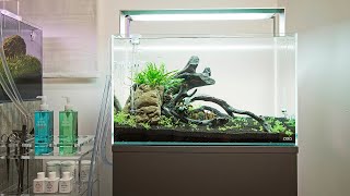 Full ADA 60P Aquascape Step by Step Tutorial [upl. by Akino]